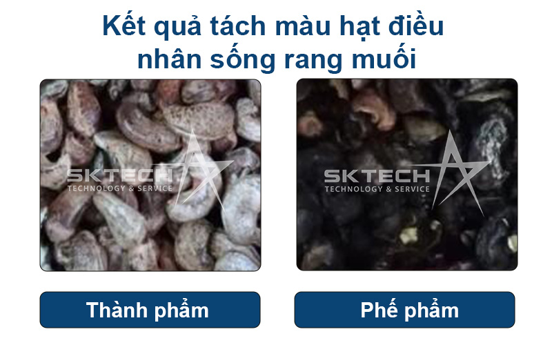 Tách màu hạt điều nhân sống rang muối