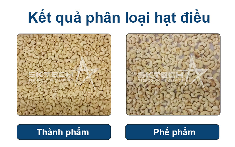 Kết quả phân loại hạt điều bằng máy tách màu