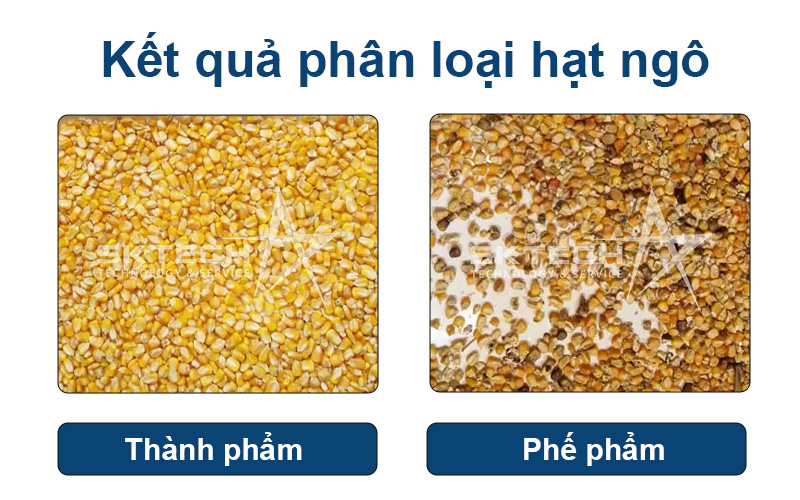Kết quả phân loại hạt ngô bằng máy tách màu