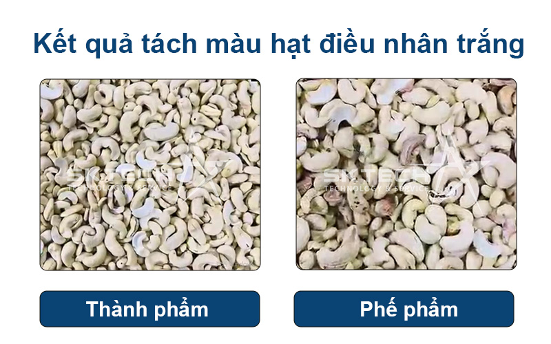 Kết quả tách màu hạt điều nhân trắng