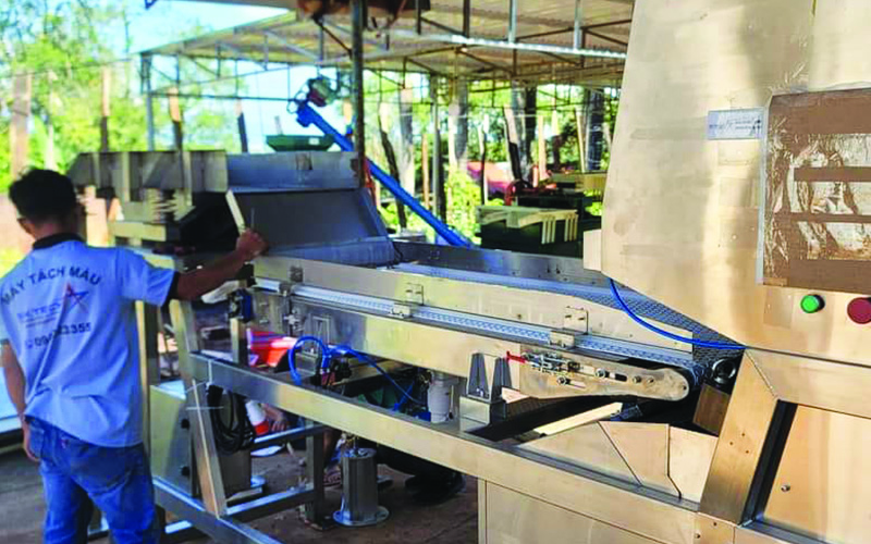 Máy bắn màu cà phê tươi SK Tech