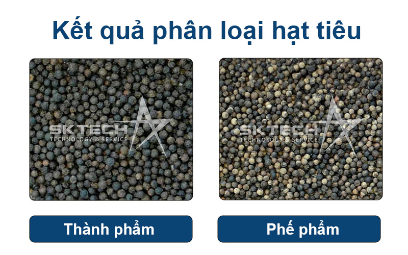 Máy bắn màu hạt tiêu đen