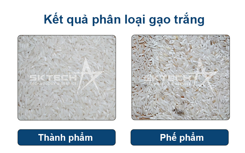 Phân loại gạo trắng bằng máy tách màu