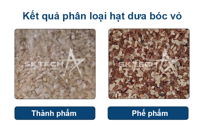 Phân loại hạt dưa bóc vỏ bằng máy tách màu