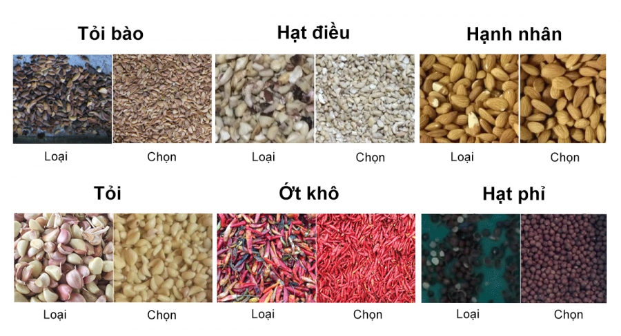 Kết quả phân loại bằng máy tách màu mini